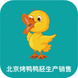 北京烤鸭鸭胚生产销售
