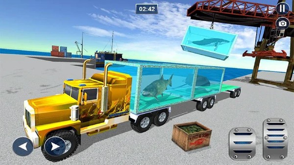 海洋动物运输模拟器