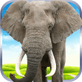 大象野外生存模拟